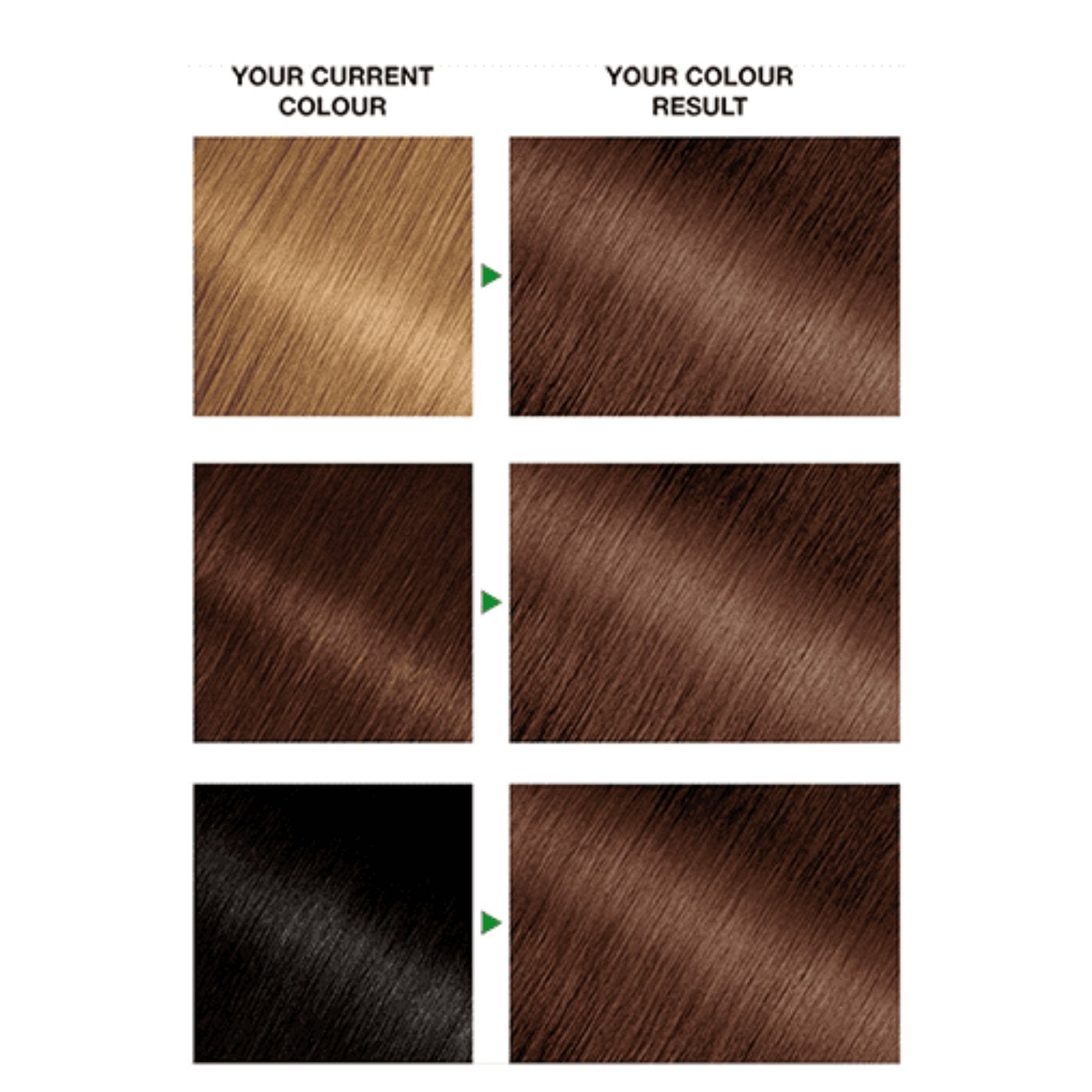 Garnier Nutrisse Permanent Hair Dye - 100% Grey Hair Coverage - Light Brown 6