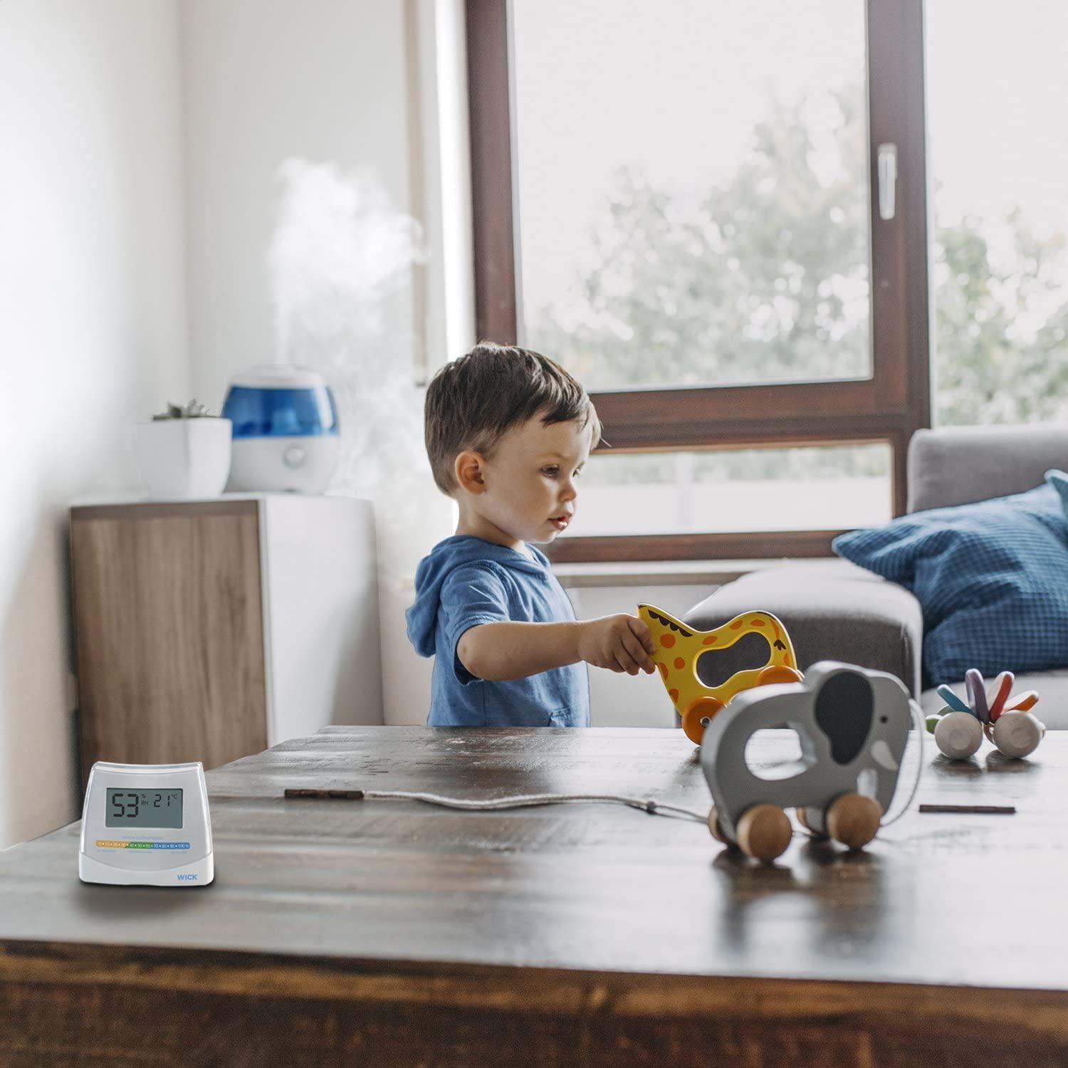 Vicks 2-in-1 Hygrometer and Thermometer V70 - Measures room humidity and temperature for better indoor comfort