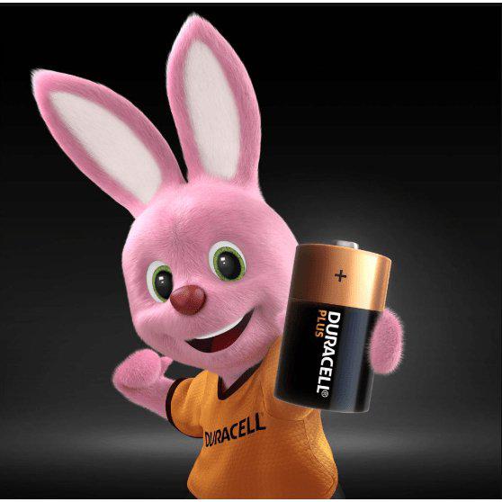 Duracell Plus Power Alkaline D Battery - Lasts Up to 50% Longer - Pack of 2 - Healthxpress.ie