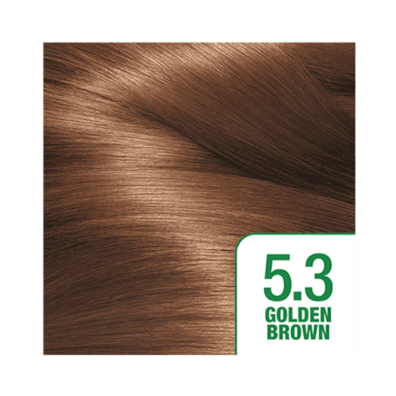 Garnier Nutrisse Permanent Hair Dye - 100% Grey Hair Coverage - Golden Brown 5.3 - Healthxpress.ie